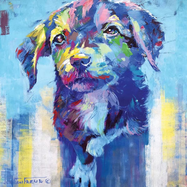 Jos Coufreur: Cute Dog by Jos Coufreur