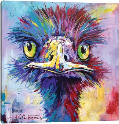 Emu II Canvas Art Print - Jos Coufreur