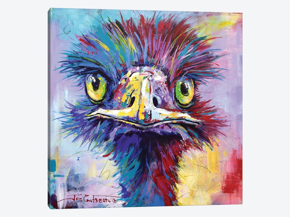 Emu II by Jos Coufreur 1-piece Canvas Art