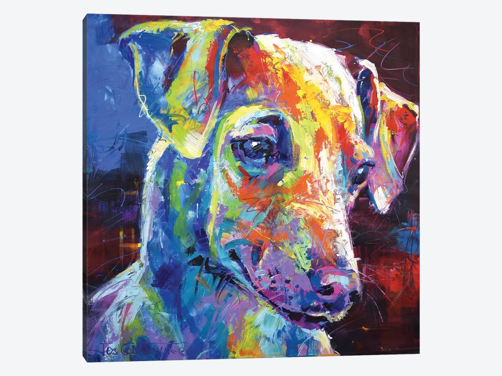 Greyhound Puppy by Jos Coufreur 1-piece Canvas Artwork