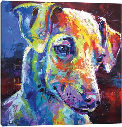 Greyhound Puppy Canvas Art Print - Italian Greyhound Art