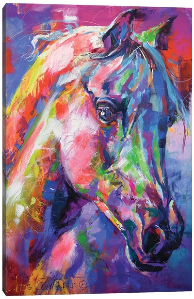 Horse Canvas Art Print - Jos Coufreur