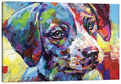 Jack Russell Puppy Canvas Art Print - Jack Russell Terrier Art