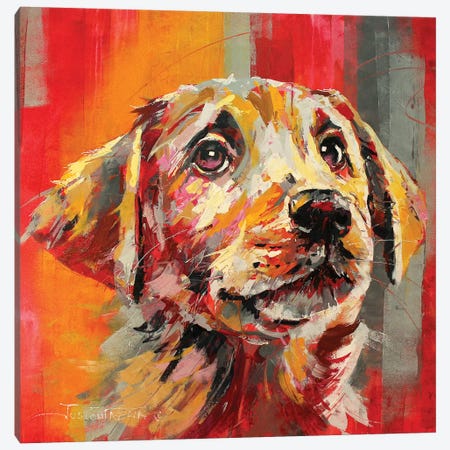 Labrador I Canvas Print #JCF128} by Jos Coufreur Canvas Wall Art
