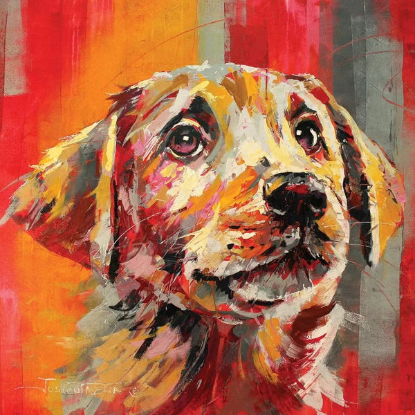 Jos Coufreur: Labrador I by Jos Coufreur