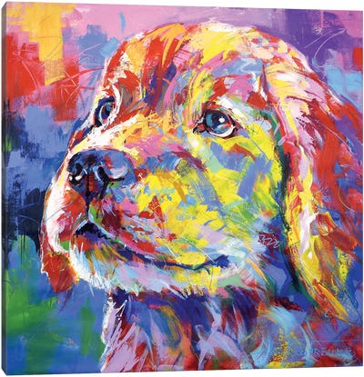 Labrador II Canvas Art Print - Jos Coufreur