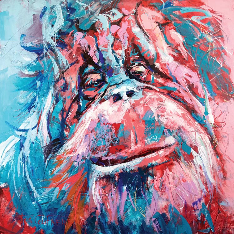 Orangutan