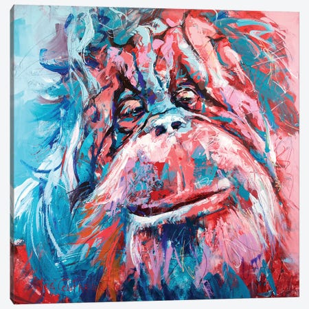 Orangutan Canvas Print #JCF134} by Jos Coufreur Canvas Wall Art