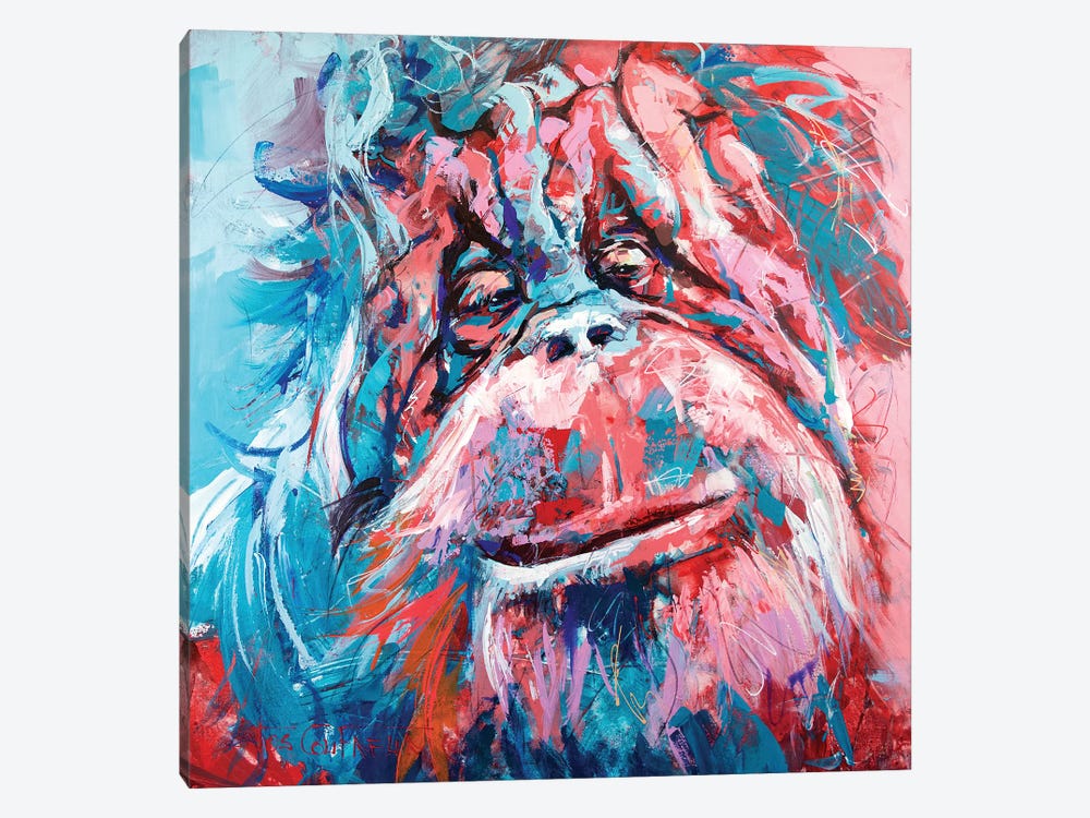 Orangutan by Jos Coufreur 1-piece Canvas Print