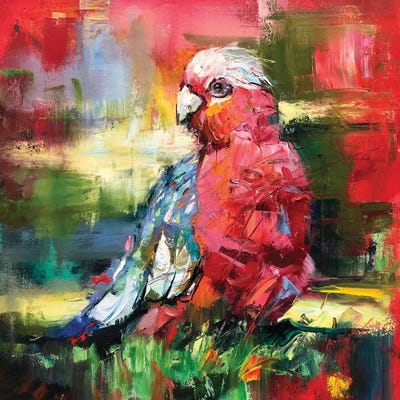 Galah by Jos Coufreur art print