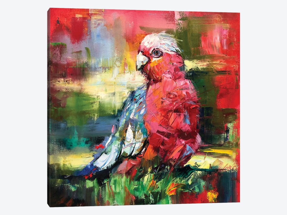 Galah by Jos Coufreur 1-piece Canvas Artwork