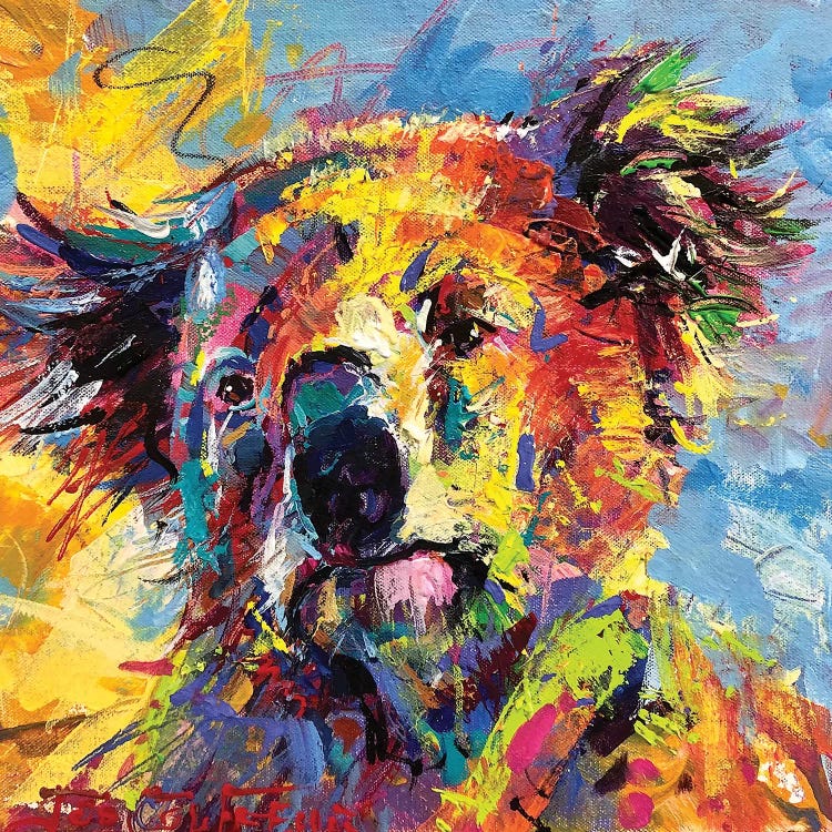 Koala by Jos Coufreur wall art