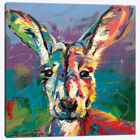 Kangaroo III Canvas Print #JCF148} by Jos Coufreur Canvas Artwork