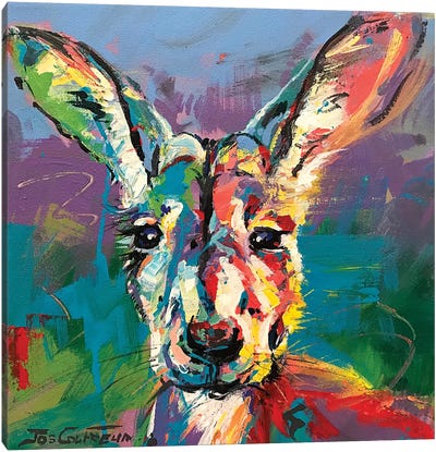 Kangaroo III Canvas Art Print