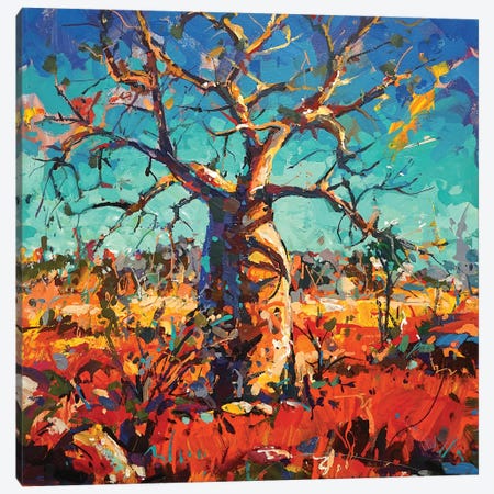 The Boab Tree Canvas Print #JCF150} by Jos Coufreur Canvas Art Print