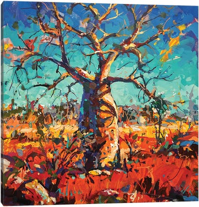 The Boab Tree Canvas Art Print - Jos Coufreur