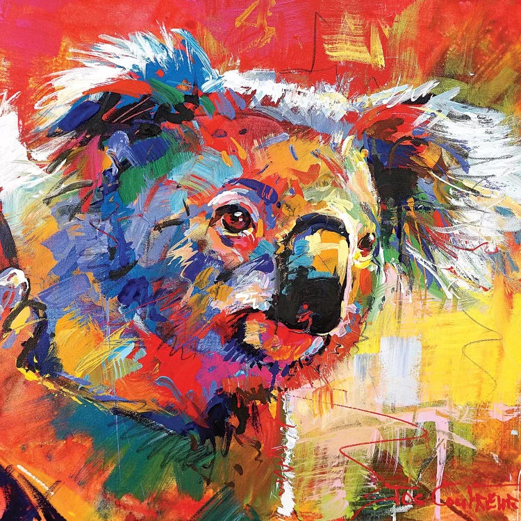 Koala XI by Jos Coufreur wall art