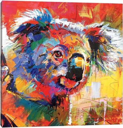 Koala XI Canvas Art Print - Jos Coufreur