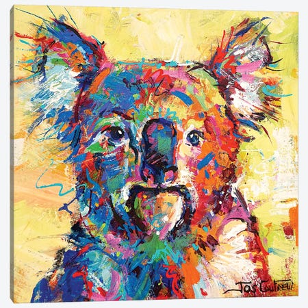 Hello Koala Canvas Print #JCF154} by Jos Coufreur Canvas Wall Art