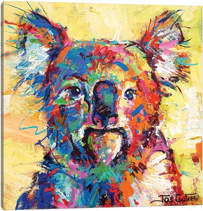 Hello Koala Canvas Art Print - Jos Coufreur