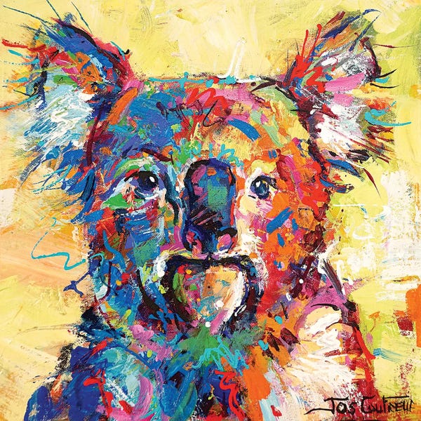 Jos Coufreur: Hello Koala by Jos Coufreur