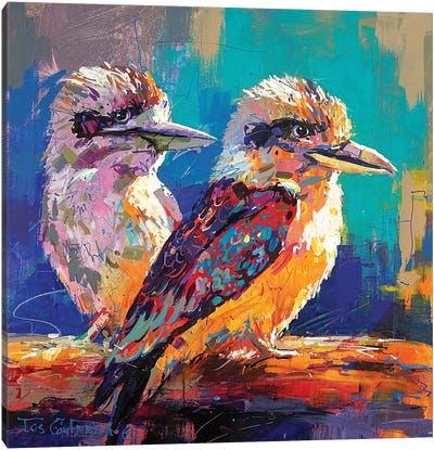 Pair Of Kookaburras Canvas Art Print - Jos Coufreur