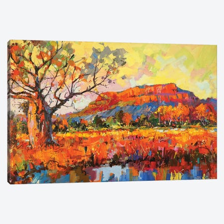 Golden Outback Canvas Print #JCF159} by Jos Coufreur Canvas Print