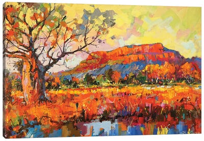 Golden Outback Canvas Art Print - Jos Coufreur