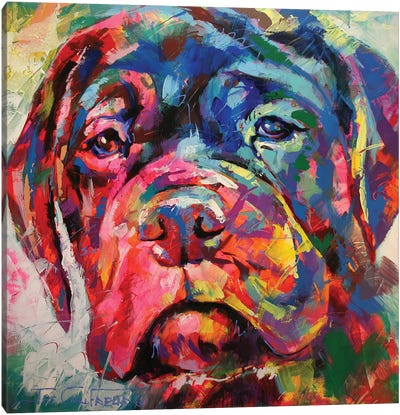 Bull Mastiff Puppy Canvas Art Print - Jos Coufreur
