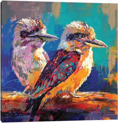 Kookaburra Pair Canvas Art Print - Kingfisher Art