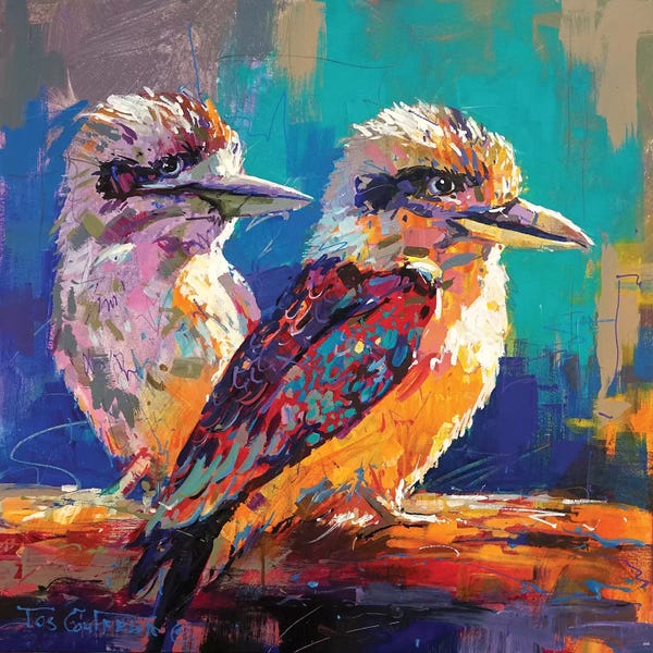 Kingfishers: Kookaburra Pair by Jos Coufreur