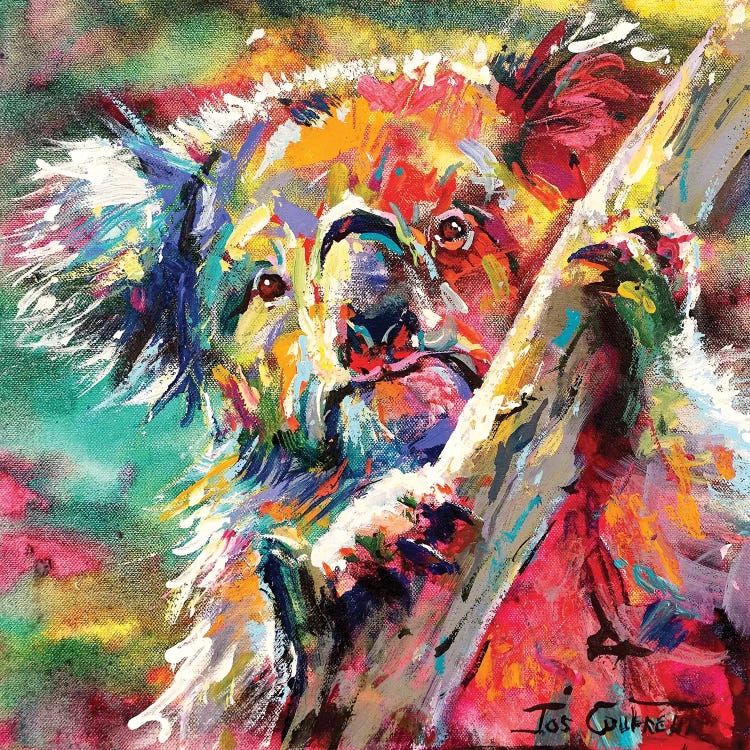 Koala 20 - Jos Coufreur - Acrylic on Canvas