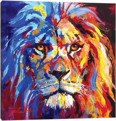 Lion Canvas Art Print - Jos Coufreur