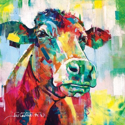 Curious Cow by Jos Coufreur art print