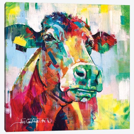 Curious Cow Canvas Print #JCF184} by Jos Coufreur Canvas Print