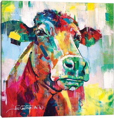 Curious Cow Canvas Art Print - Jos Coufreur