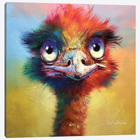 Colourful Emu Canvas Print #JCF190} by Jos Coufreur Canvas Print