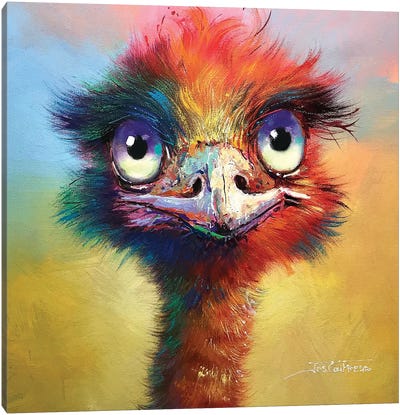 Colourful Emu Canvas Art Print