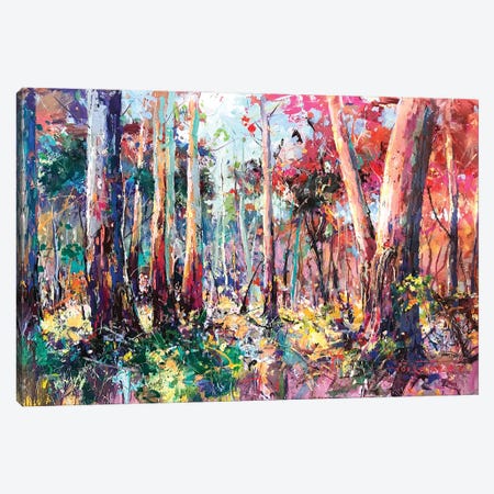 Gumtree Forest II Canvas Print #JCF194} by Jos Coufreur Canvas Art