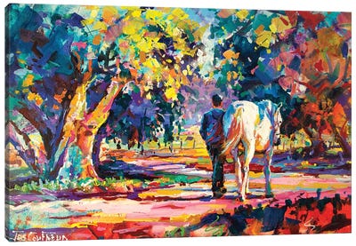 Country Lane Canvas Art Print - Jos Coufreur