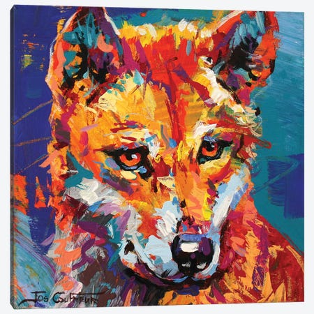 Dingo IV Canvas Print #JCF22} by Jos Coufreur Canvas Artwork