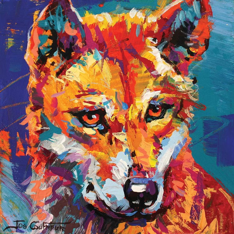 Dingo IV by Jos Coufreur wall art