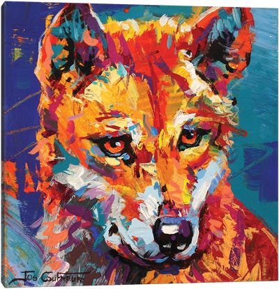 Dingo IV Canvas Art Print - Jos Coufreur