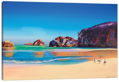 Elephant Rocks Canvas Art Print - Current Day Impressionism Art