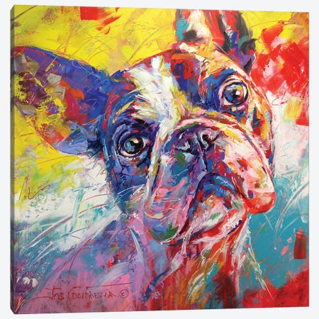 French Bulldog Canvas Print #JCF28} by Jos Coufreur Canvas Wall Art