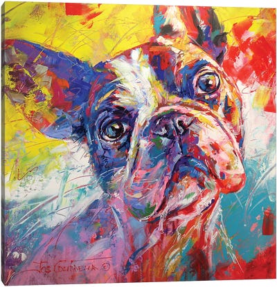 French Bulldog Canvas Art Print - Jos Coufreur