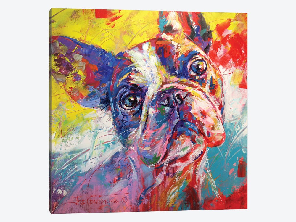 French Bulldog by Jos Coufreur 1-piece Canvas Print