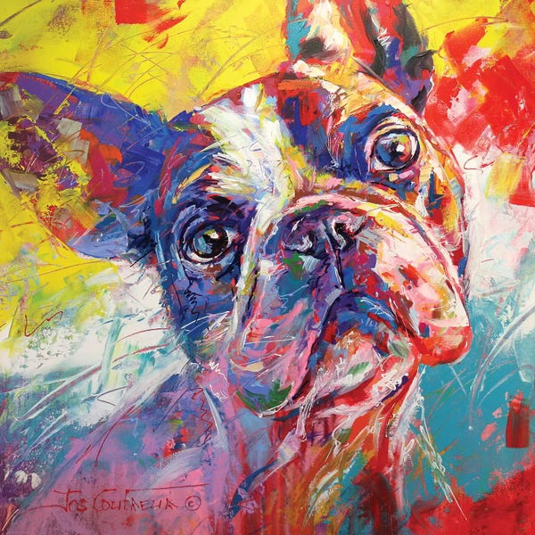 French Bulldogs: French Bulldog by Jos Coufreur