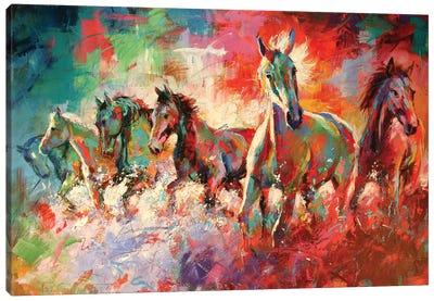 Horses Canvas Art Print - Jos Coufreur
