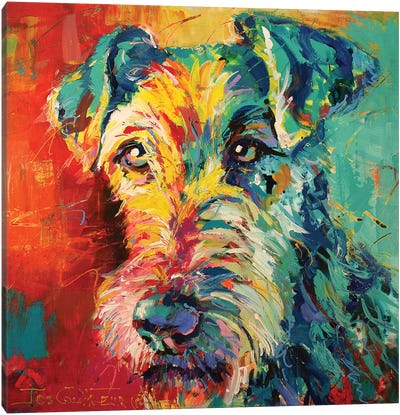 Irish Terrier Canvas Art Print - Jos Coufreur